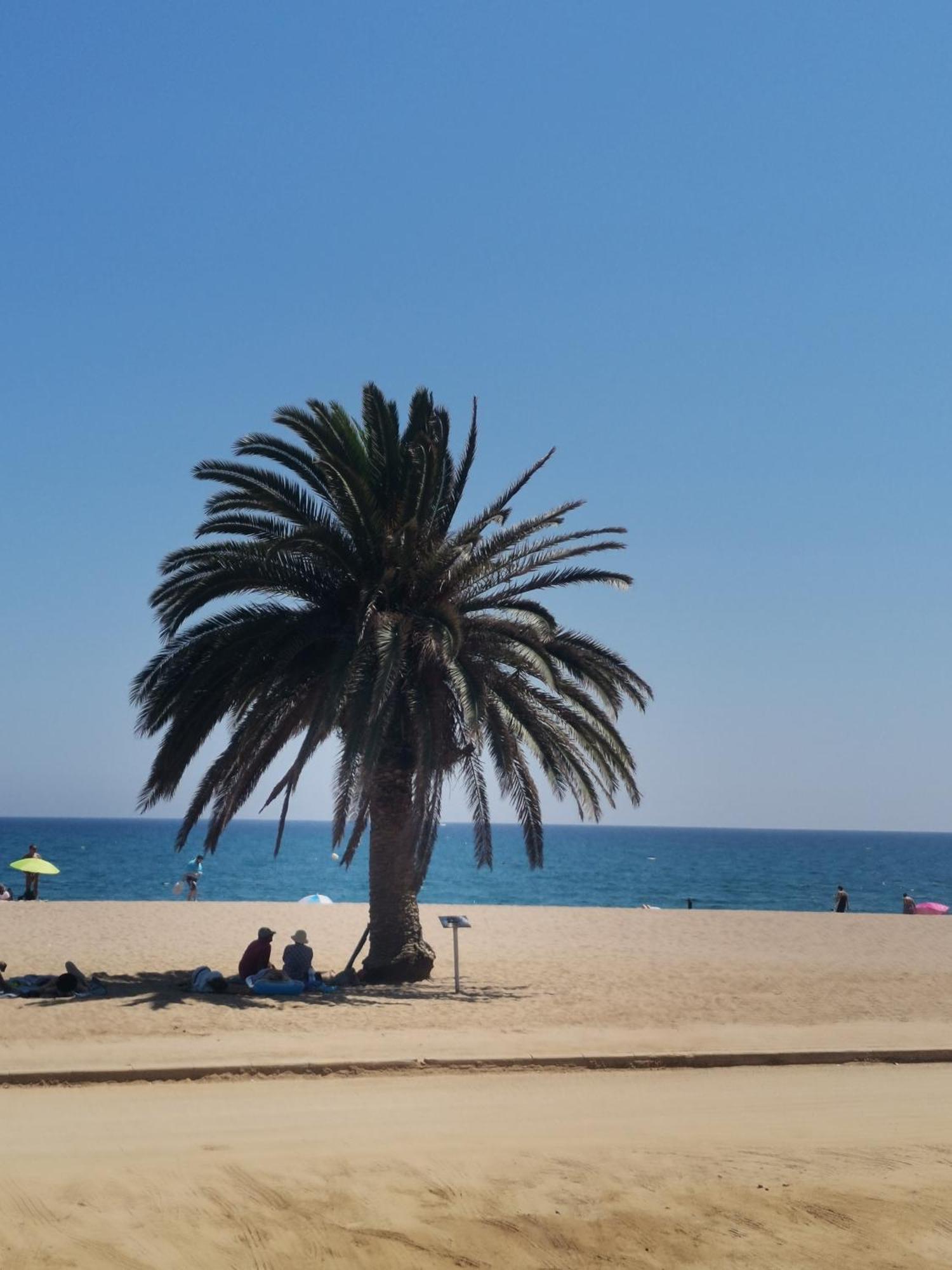 Apartamento Centrico En Calella Bagian luar foto